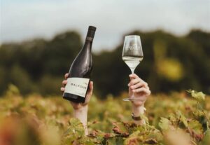 Balfour wines